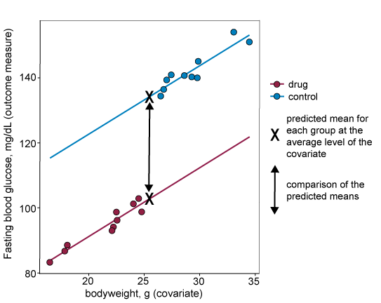 A graph plotting the covariate bodyweight on the x-axis and the outcome measure fasting blood glucose on the y-axis. There are coloured dots representing data from control and drug treated animals. All drug treated animals have low bodyweights, all control animals have high bodyweights meaning the data representing the different conditions do not overlap along the x-axis, there is a line of best fit for each group which extends beyond the data points for each. There is an X half way along each line of best fit representing the value of the covariate at which the comparison will be made. All data from the drug treated animals are above the X on the drug data line of best fit. All data from the control animals are below the X on the control data line of best fit.