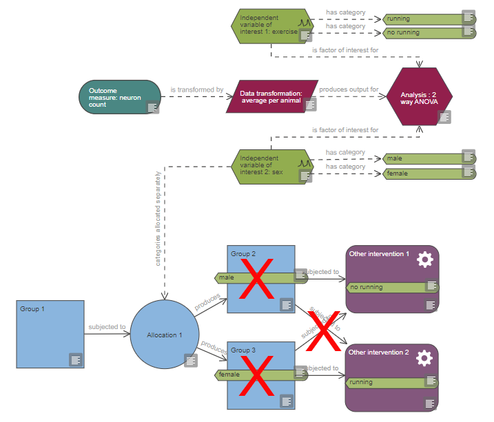 An independent variable of interest node is connected to an analysis node and an allocation node. The categories connected to the independent variable of interest are also tagged to the group nodes.