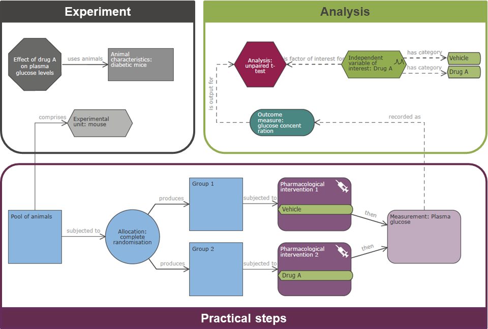 An EDA diagram showing an experiment comparing the effect of a drug with the effect of a control. The experiment, animal characteristics and experimental unit nodes are in a box outlined in dark grey labelled 'Experiment'. The group, allocation, intervention and measurement nodes are in a box outlined in purple labelled 'Practical steps'. The outcome measure, independent variable of interest, variable category and analysis nodes are in a box outlined in green labelled 'Analysis'.